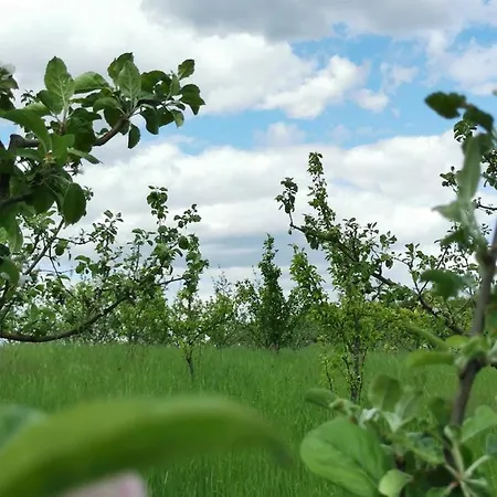 In Der Ciderwirtschaft Apartmán